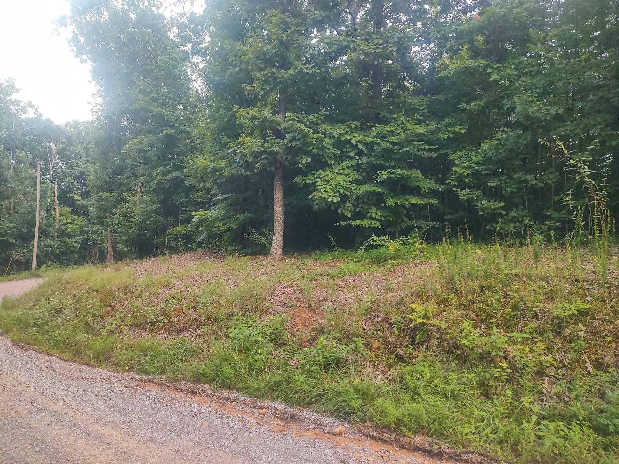 185 Raccoon Ridge Road Spring City, TN 37381 - Photo 34 of 37 Gallery Image 34