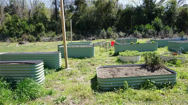 a view of a park with large trees