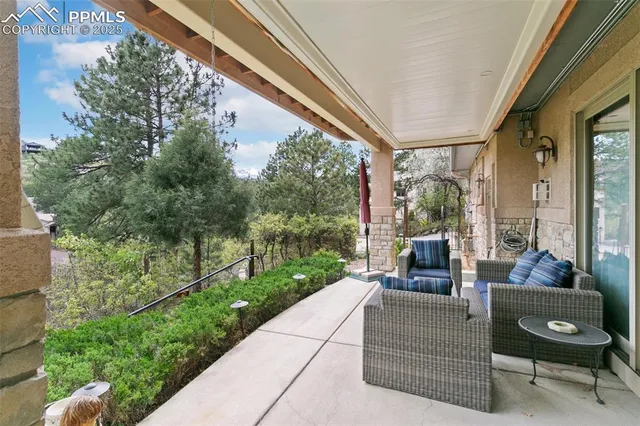 a view of a patio with couches potted plants and a large tree