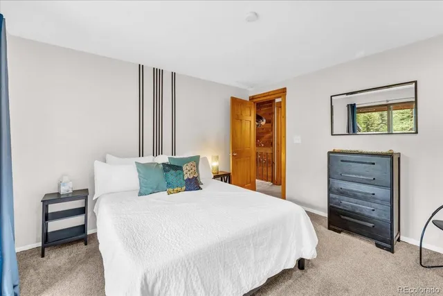 a bedroom with a bed and a closet