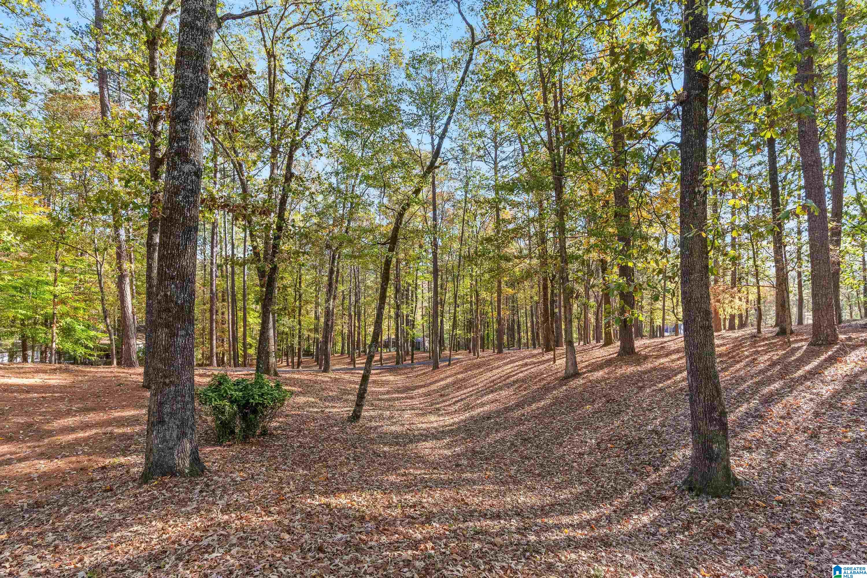 2500 Marcal Road Birmingham, AL 35244 - Photo 61 of 73