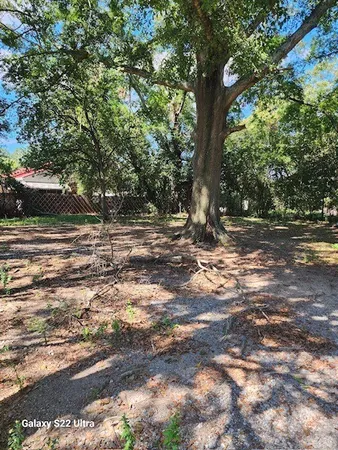 a view of a yard with a tree