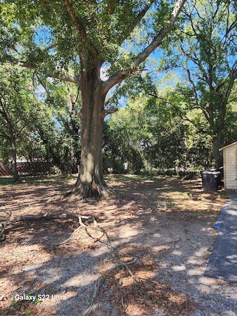2443 South Lumpkin Road Columbus, GA 31903 - Photo 10 of 13 a view of road and trees