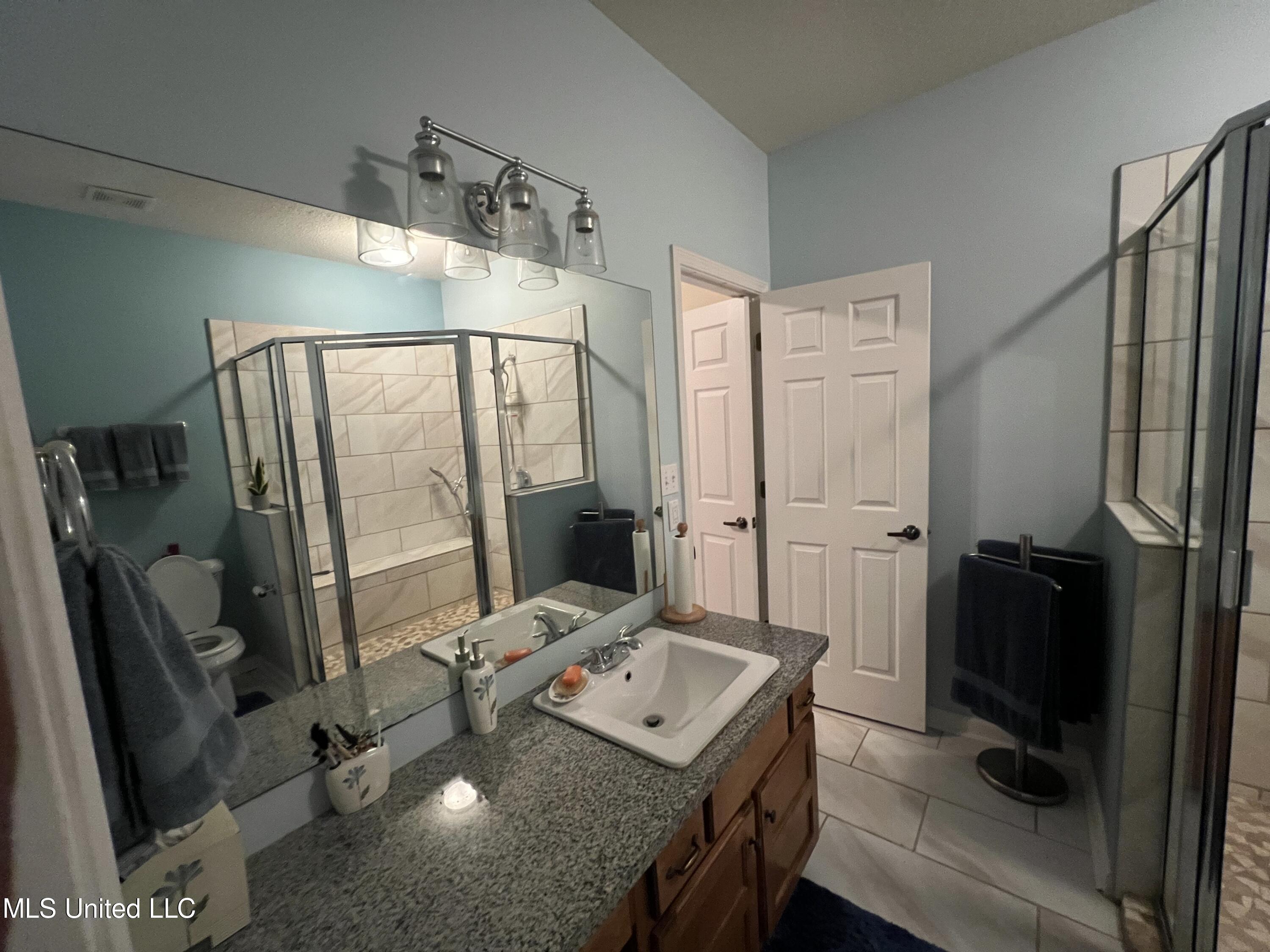 846 Cardinal Lane Hernando, MS 38632 - Photo 8 of 11 master bathroom2