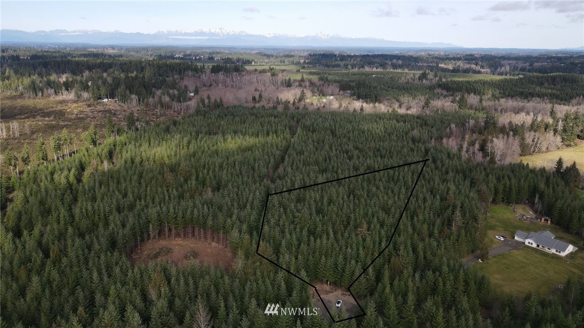 473 Southeast Ellis Road Shelton, WA 98584 - Photo 1 of 9 Gallery Image 1
