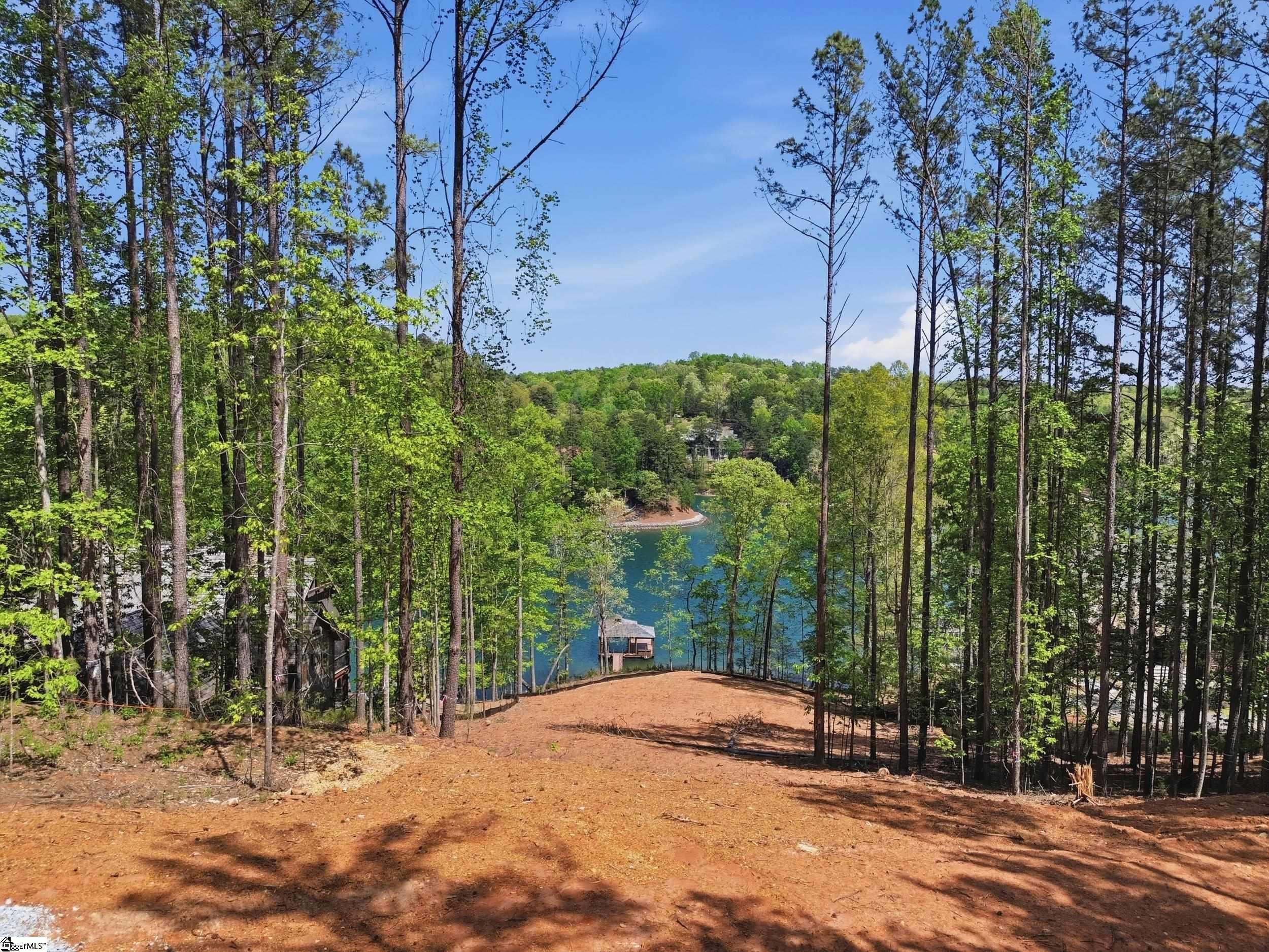 315 South Cove Road Sunset, SC 29685 - Photo 2 of 32