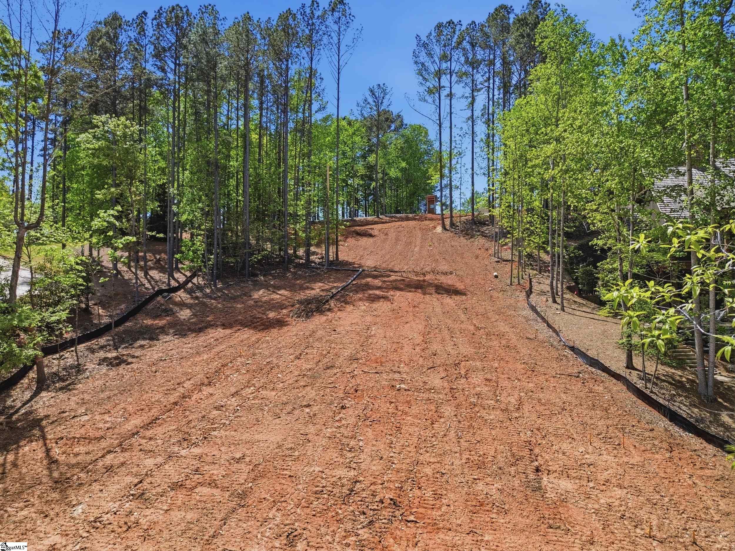 315 South Cove Road Sunset, SC 29685 - Photo 3 of 32