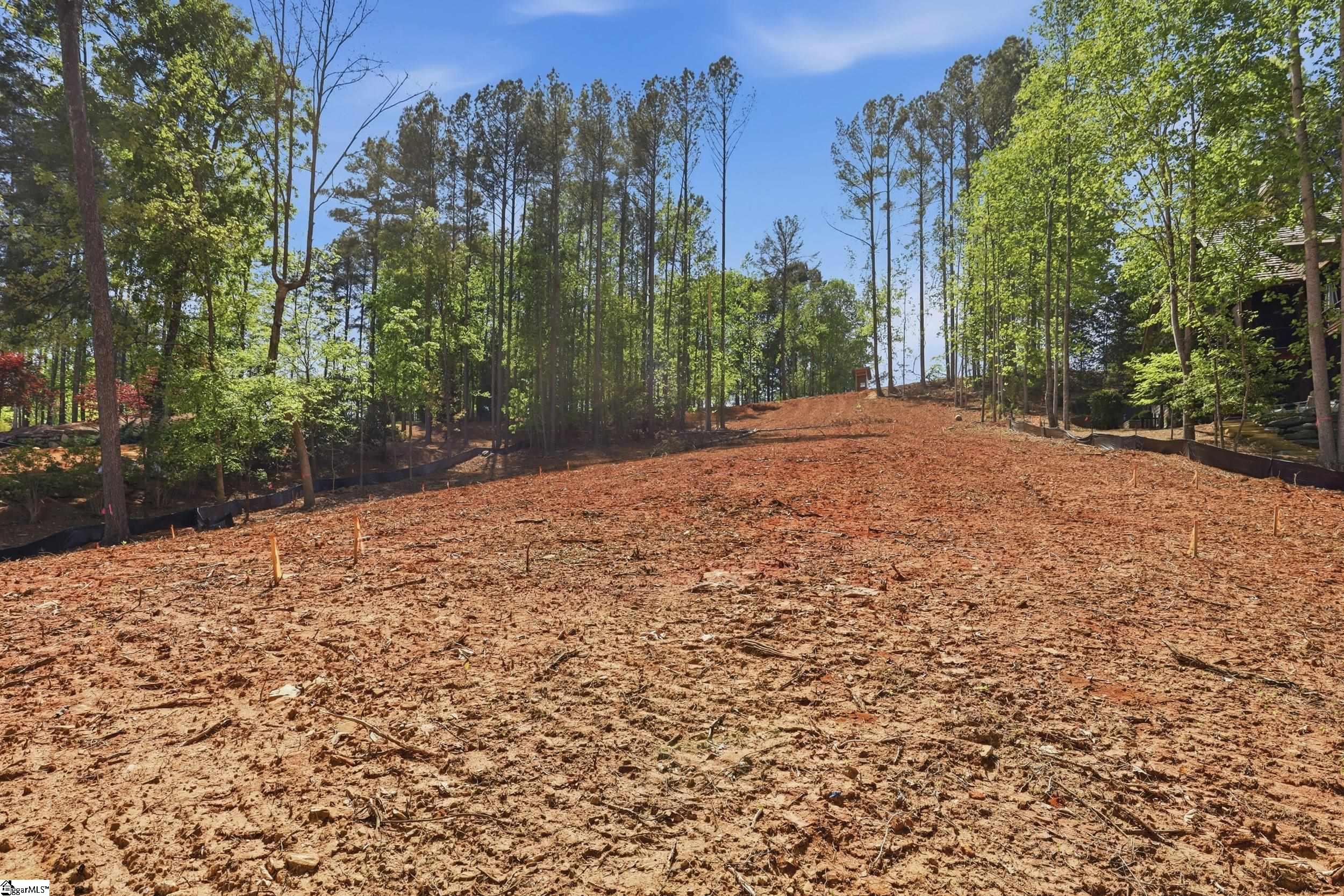 315 South Cove Road Sunset, SC 29685 - Photo 4 of 32