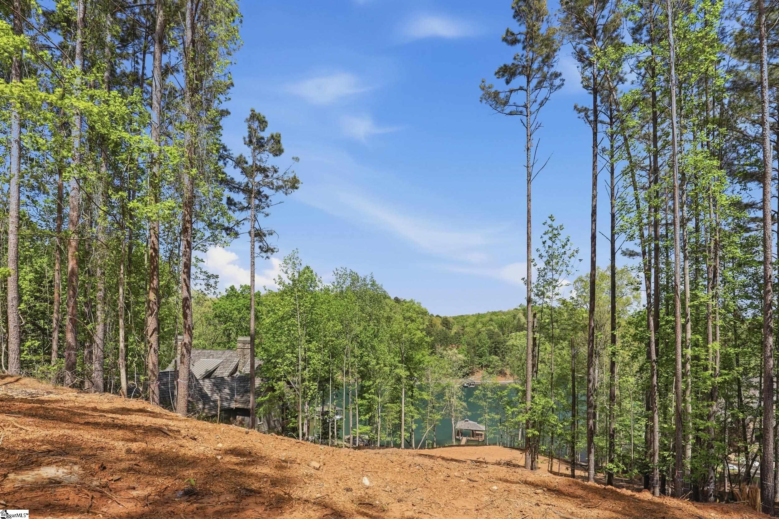 315 South Cove Road Sunset, SC 29685 - Photo 5 of 32