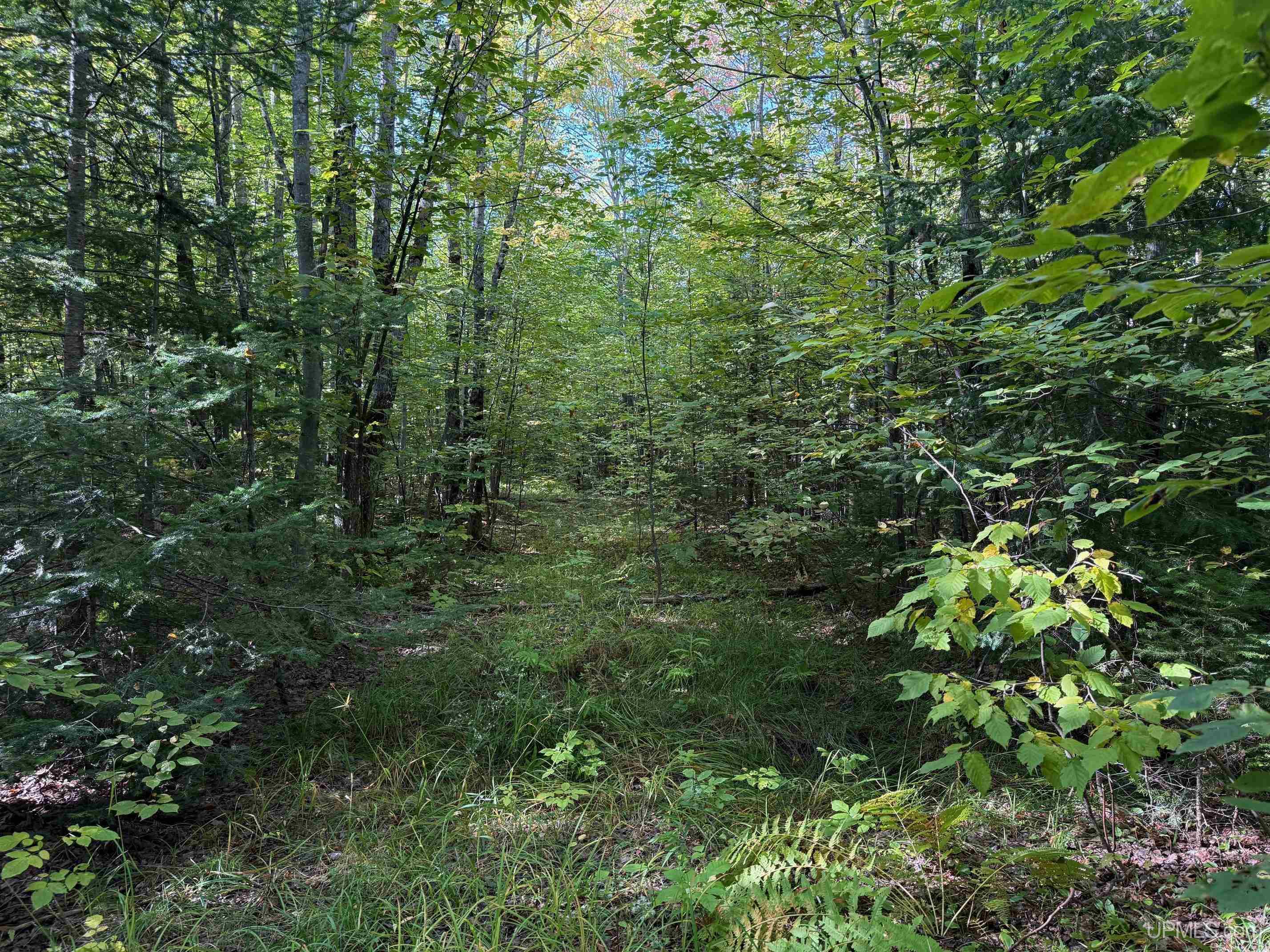 Tbde10 Firesteel Road Ontonagon, MI 49953 - Photo 12 of 17
