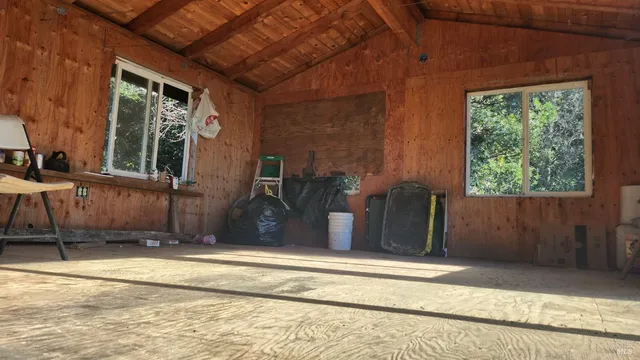 a view of a yard with a tree