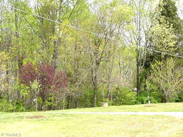 143 Courts Road Reidsville, NC 27320 - Photo 5 of 6 Other. Yard