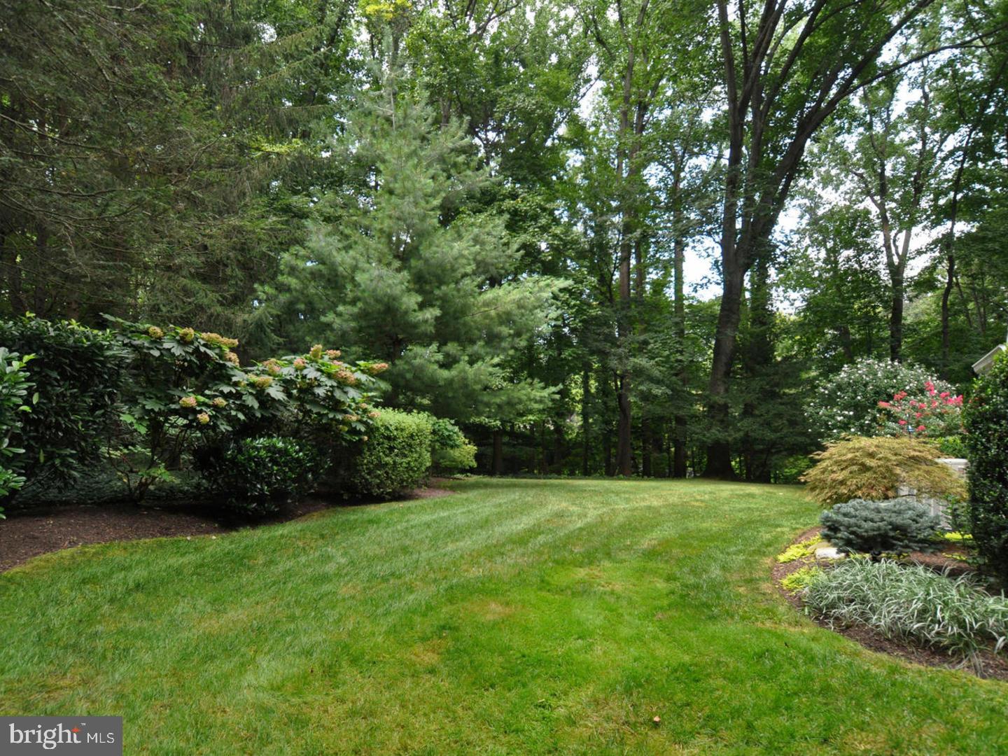 1038 Leopard Road Jenkintown, PA 19046 - Photo 23 of 24 Back Yard