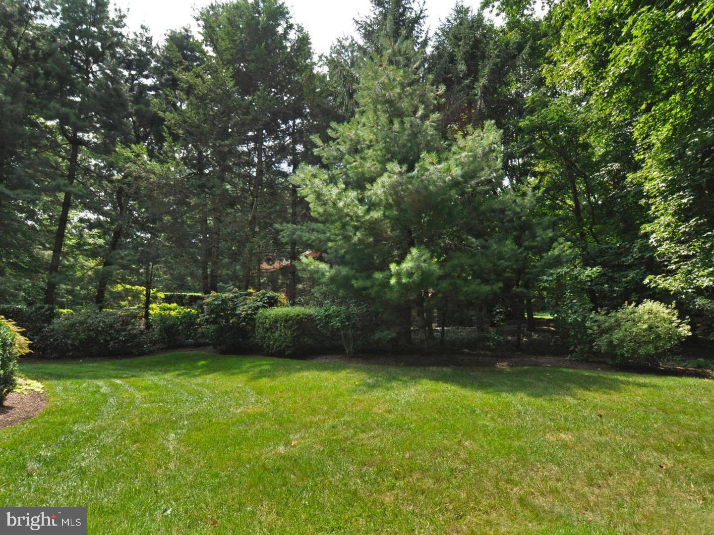 1038 Leopard Road Jenkintown, PA 19046 - Photo 24 of 24 Back Yard