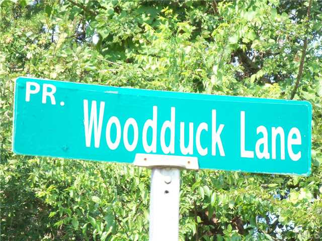 Culver Road Blanch, NC 27212 - Photo 2 of 8 Located on the corner of Woodduck Lake and Culver Rd Other