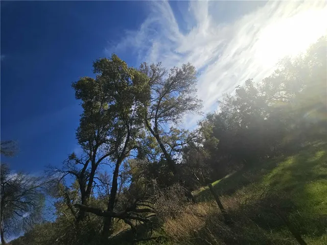 a backyard of a house with green space