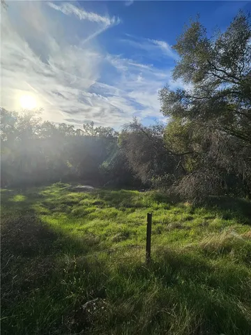 a view of outdoor space and yard
