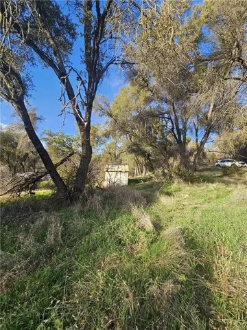 a view of backyard with green space