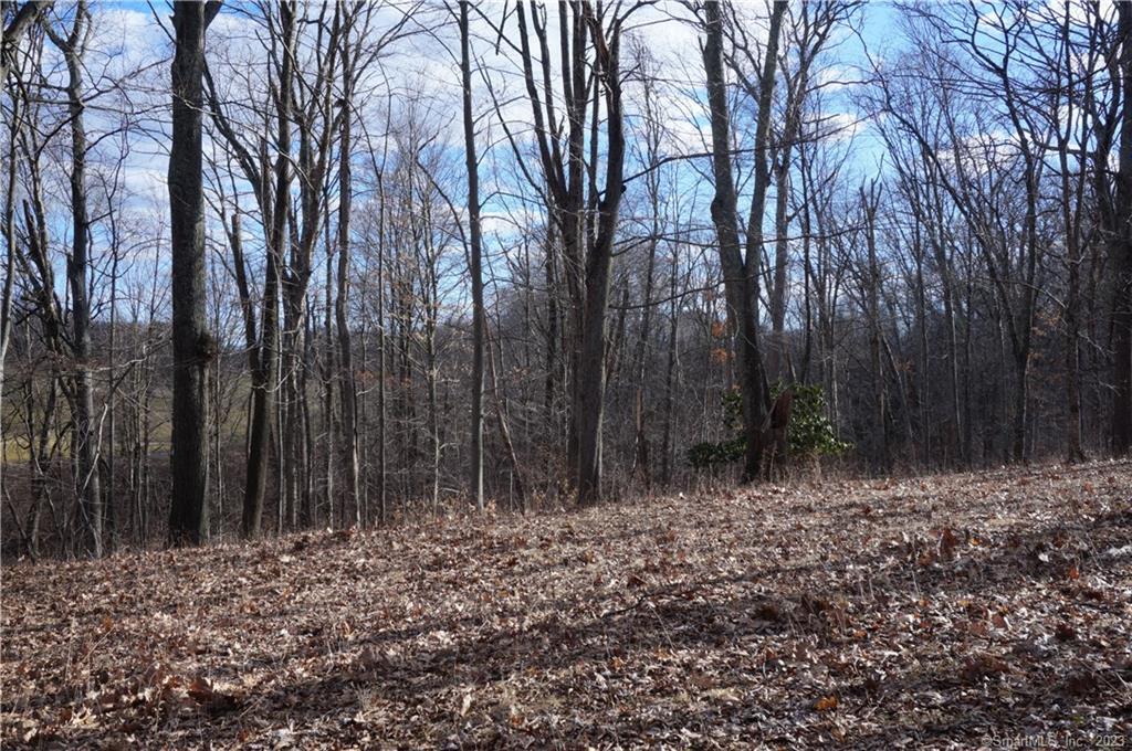 61-4 Murphy Road Hebron, CT 06248 - Photo 1 of 1