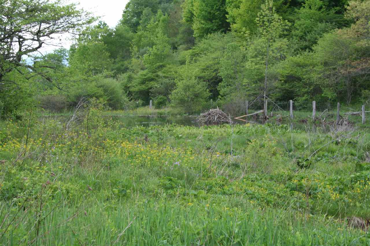 Tbd Dug Bank Road Monterey, VA 24465 - Photo 20 of 43 Gallery Image 20