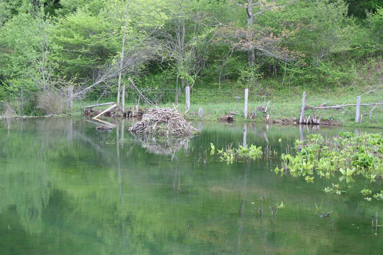 Tbd Dug Bank Road Monterey, VA 24465 - Photo 23 of 43 Gallery Image 23