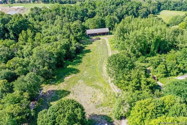 a view of a field with an trees in the background