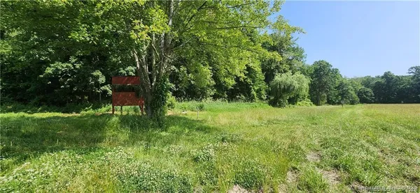 a view of a yard with a tree