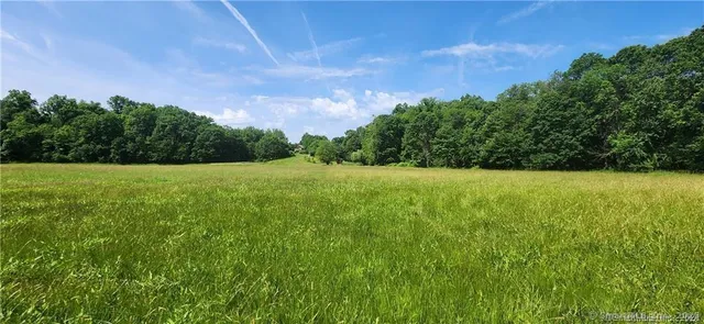 a white house with a big yard and large trees