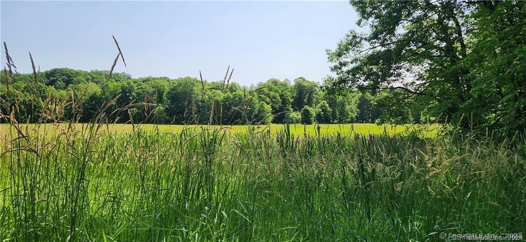 233 Post Office Road Enfield, CT 06082 - Photo 4 of 25 a white house with a big yard and large trees