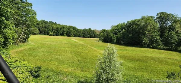 a view of a green field with plants in the background