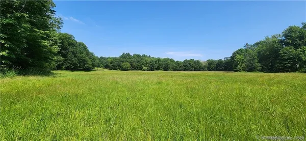 a view of a green field with a tree