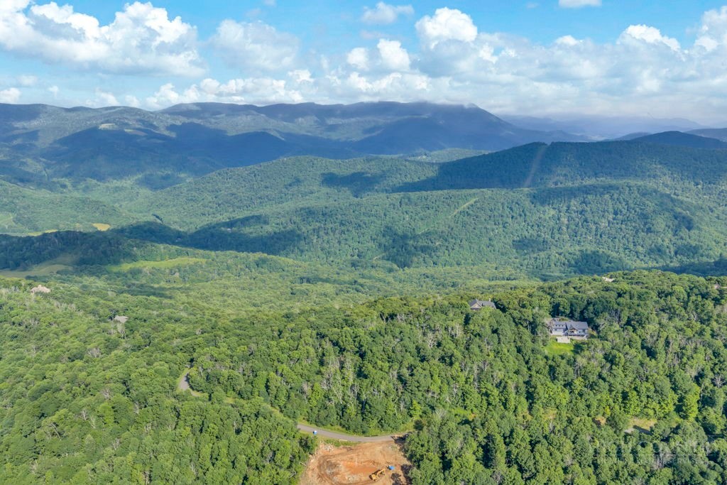 Lot 17 Crown Point Road West Jefferson, NC 28694 - Photo 14 of 21