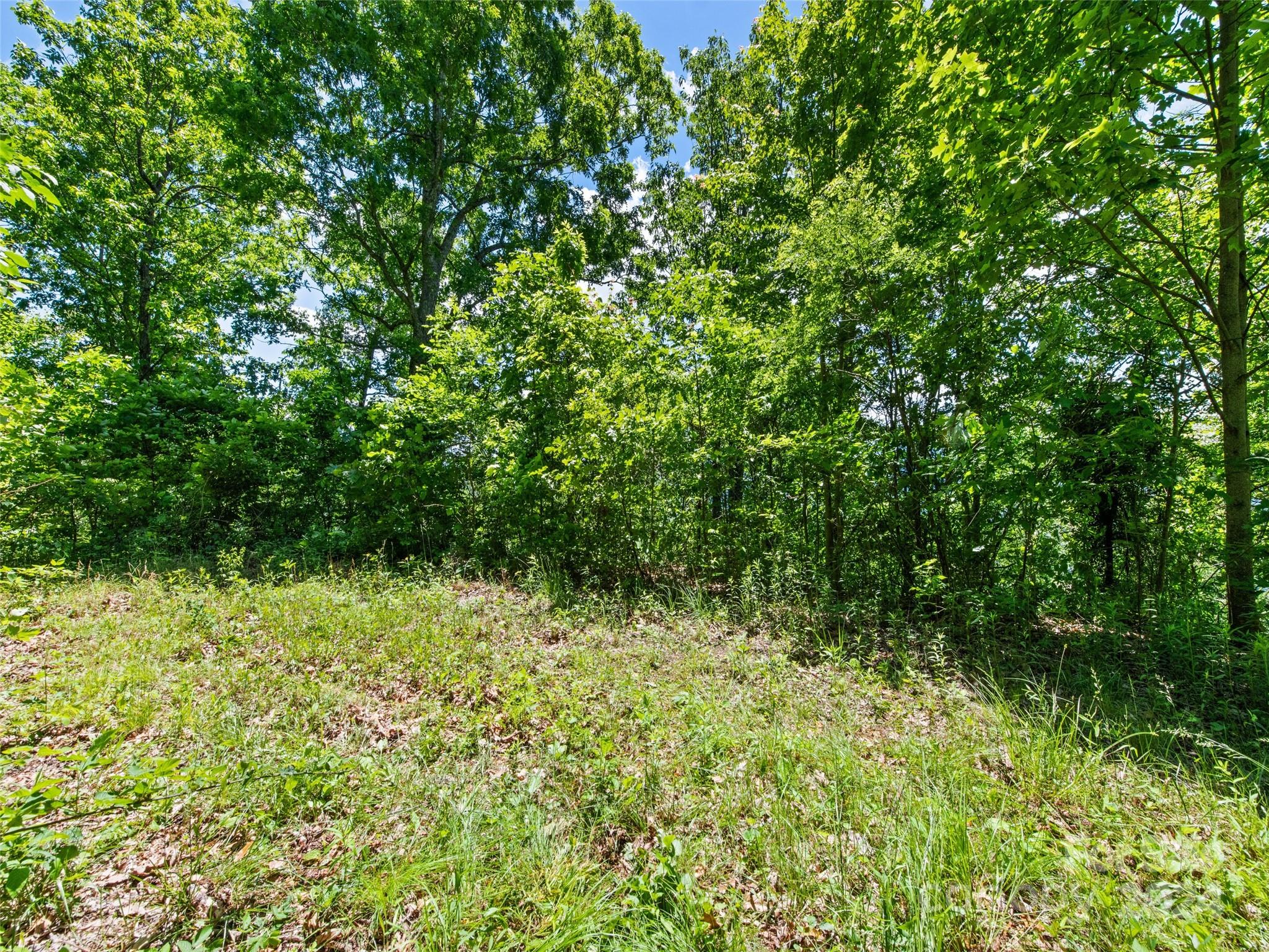 Tbd Eli Ridge Road Clyde, NC 28721 - Photo 14 of 23