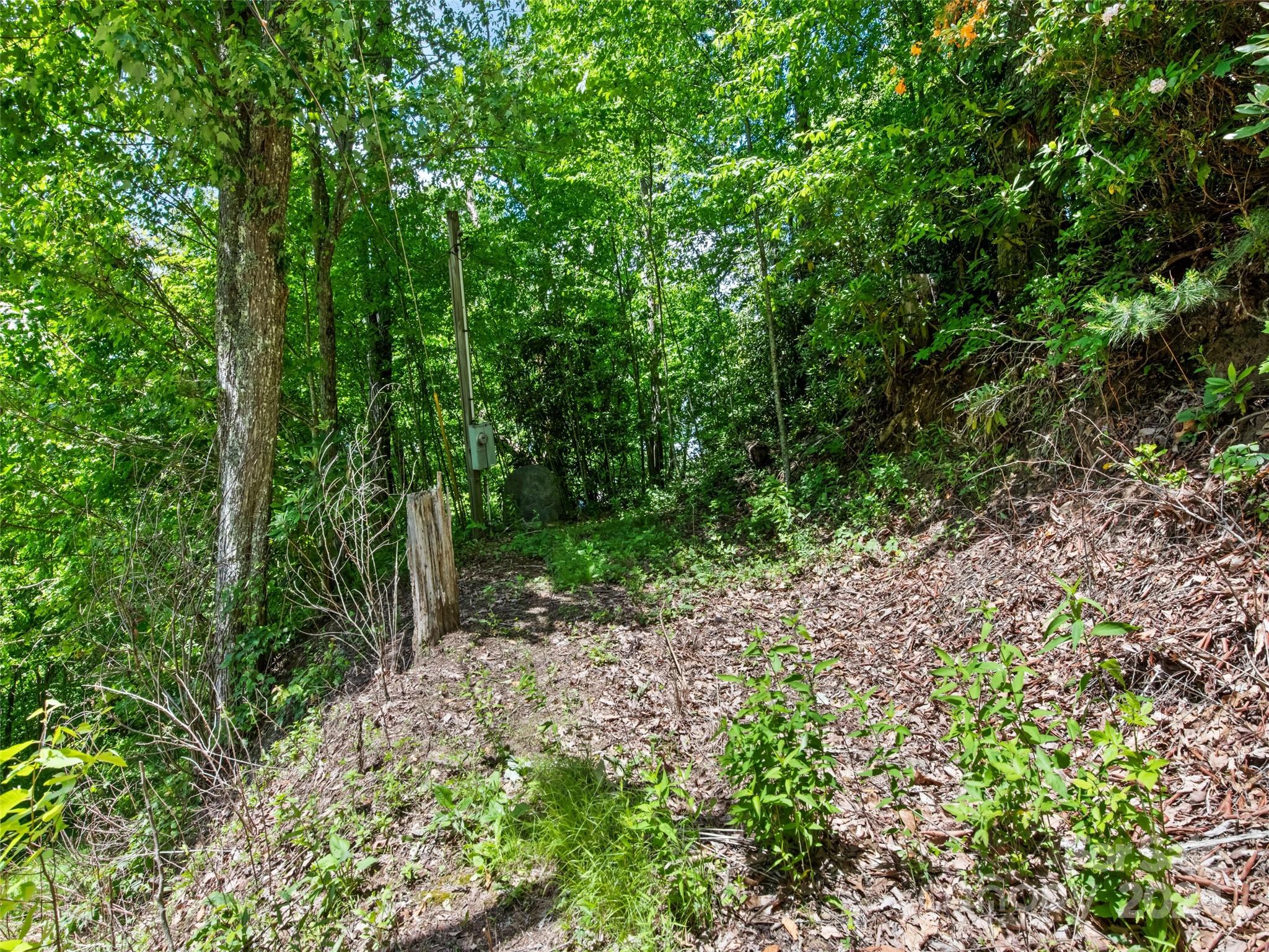 Tbd Eli Ridge Road Clyde, NC 28721 - Photo 16 of 23 a backyard of a house with lots of green space