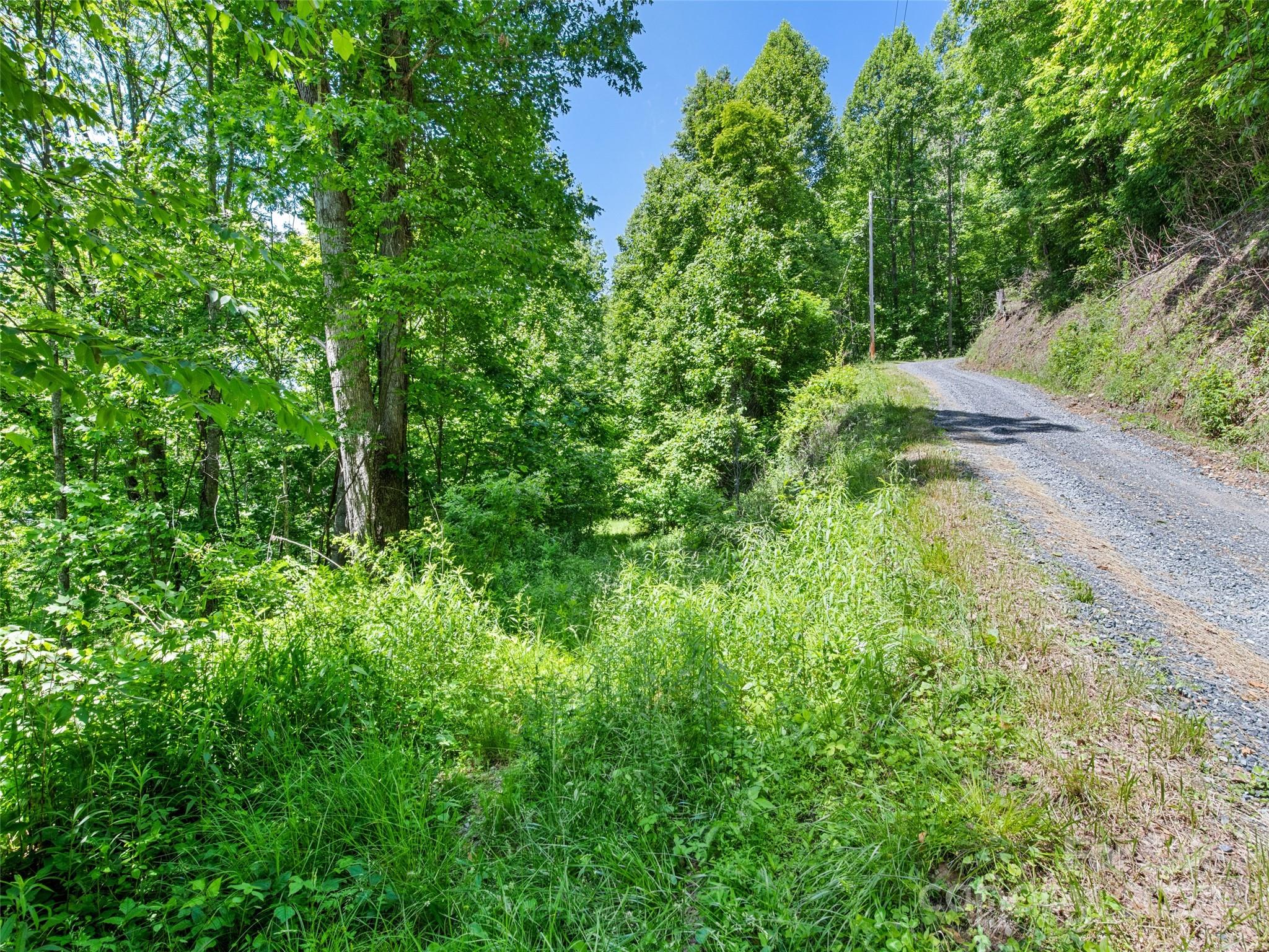Tbd Eli Ridge Road Clyde, NC 28721 - Photo 23 of 23