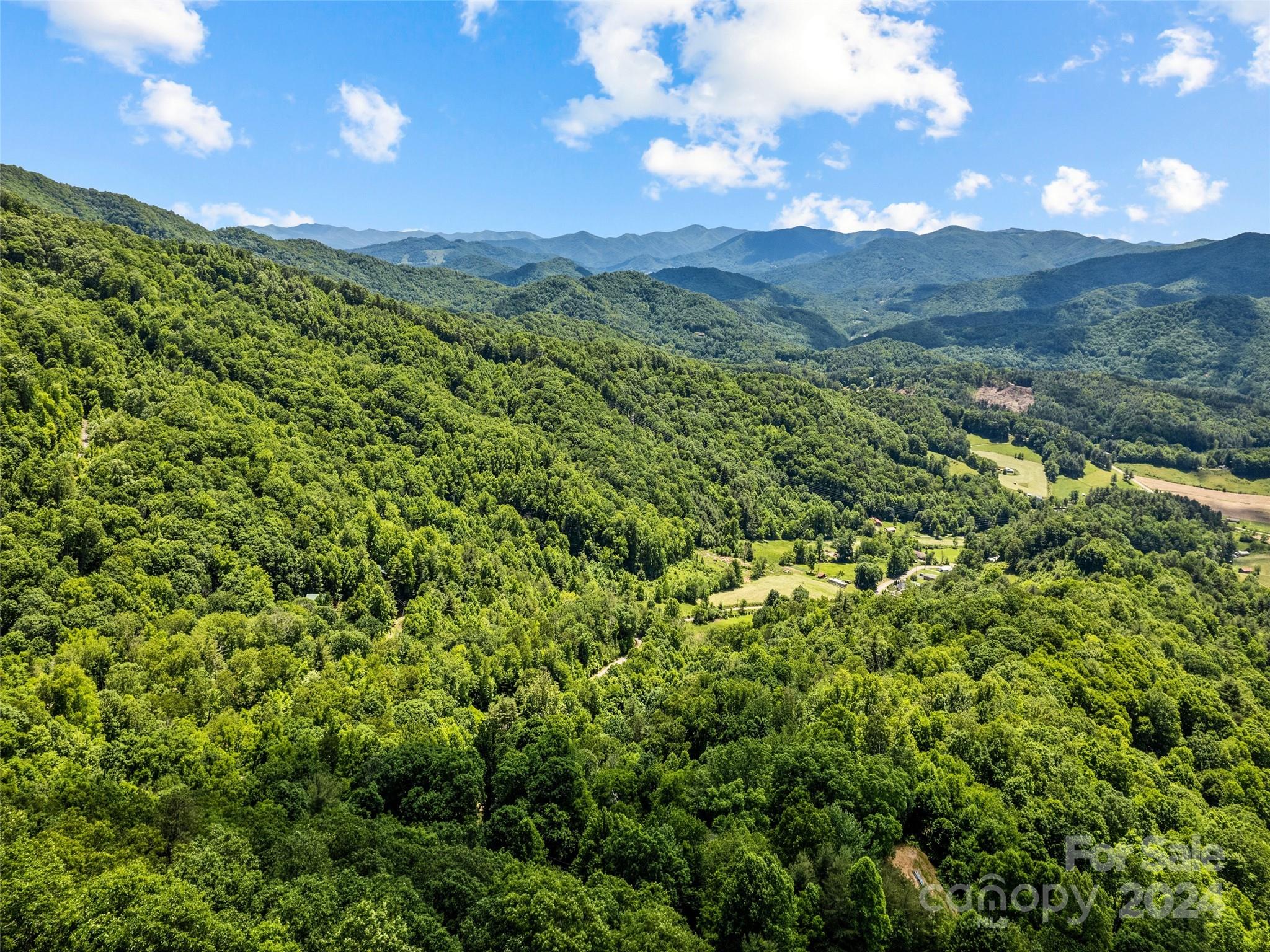 Tbd Eli Ridge Road Clyde, NC 28721 - Photo 6 of 23 a view of a city with lush green forest