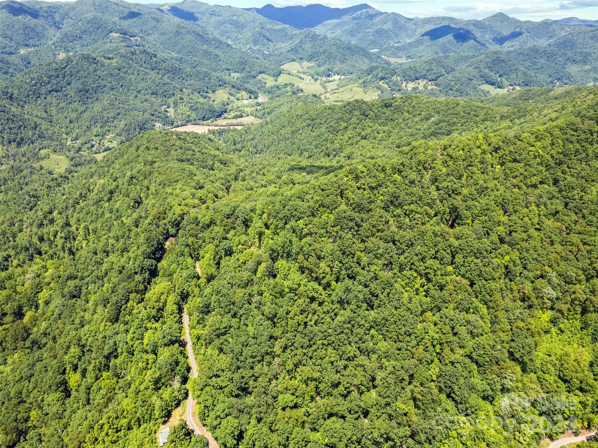 Tbd Eli Ridge Road Clyde, NC 28721 - Photo 8 of 23 a view of a lush green forest with a lush green hillside and a mountain