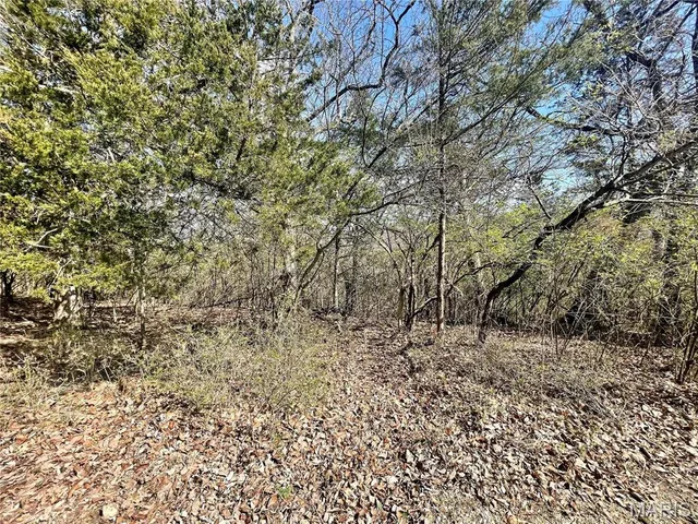 $46,000 | 3928 Southridge Trail, Byrnes Mill, MO 63051