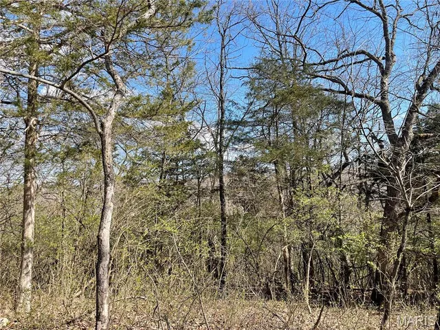 $46,000 | 3928 Southridge Trail, Byrnes Mill, MO 63051