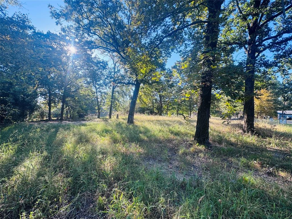 Tbd Hidden Valley Drive Tool, TX 75143 - Photo 2 of 7 a view of outdoor space and yard