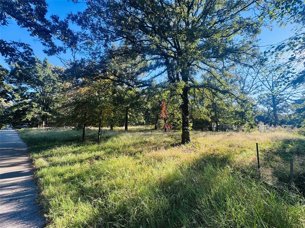 Tbd Hidden Valley Drive Tool, TX 75143 - Photo 6 of 7 a backyard of a house with lots of green space