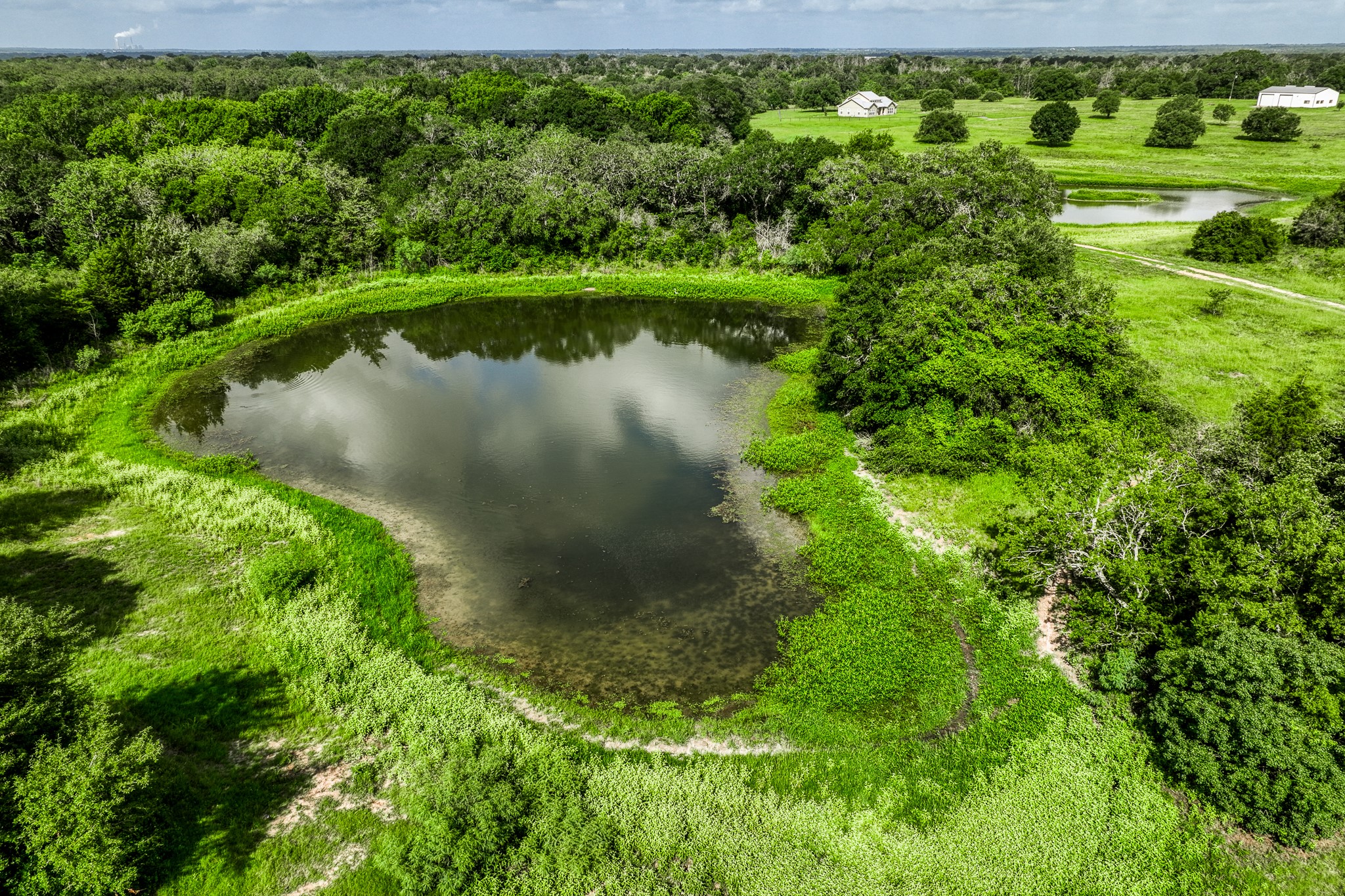 a view of a garden with a lake view