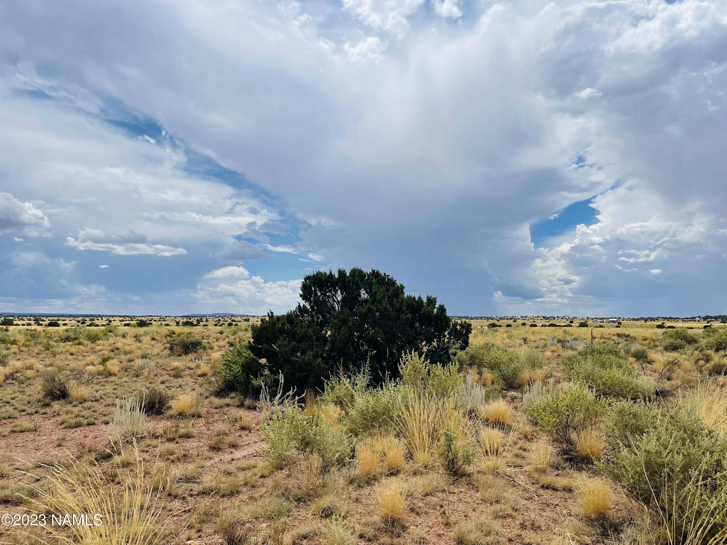 3159 Pine Road Williams, AZ 86046 - Photo 2 of 10 3159 E Pine Rd Photo 8