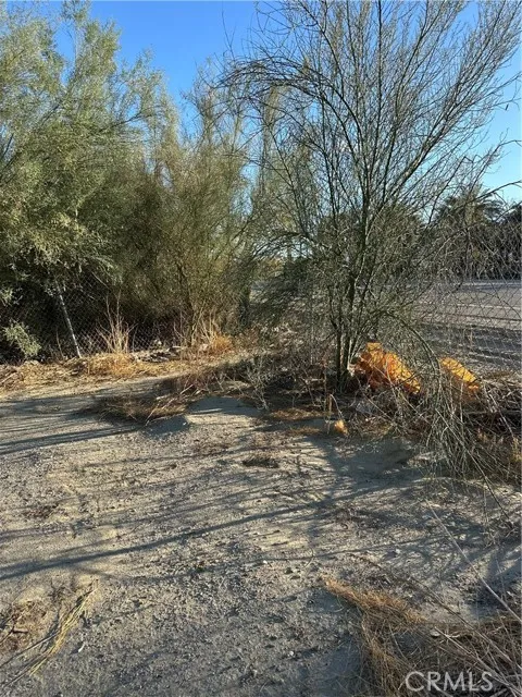 66038 Harrison Street Thermal, CA 92274 - Photo 3 of 10 a backyard of a house with lots of green space