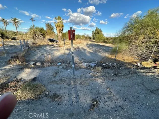 a view of a yard with tree s