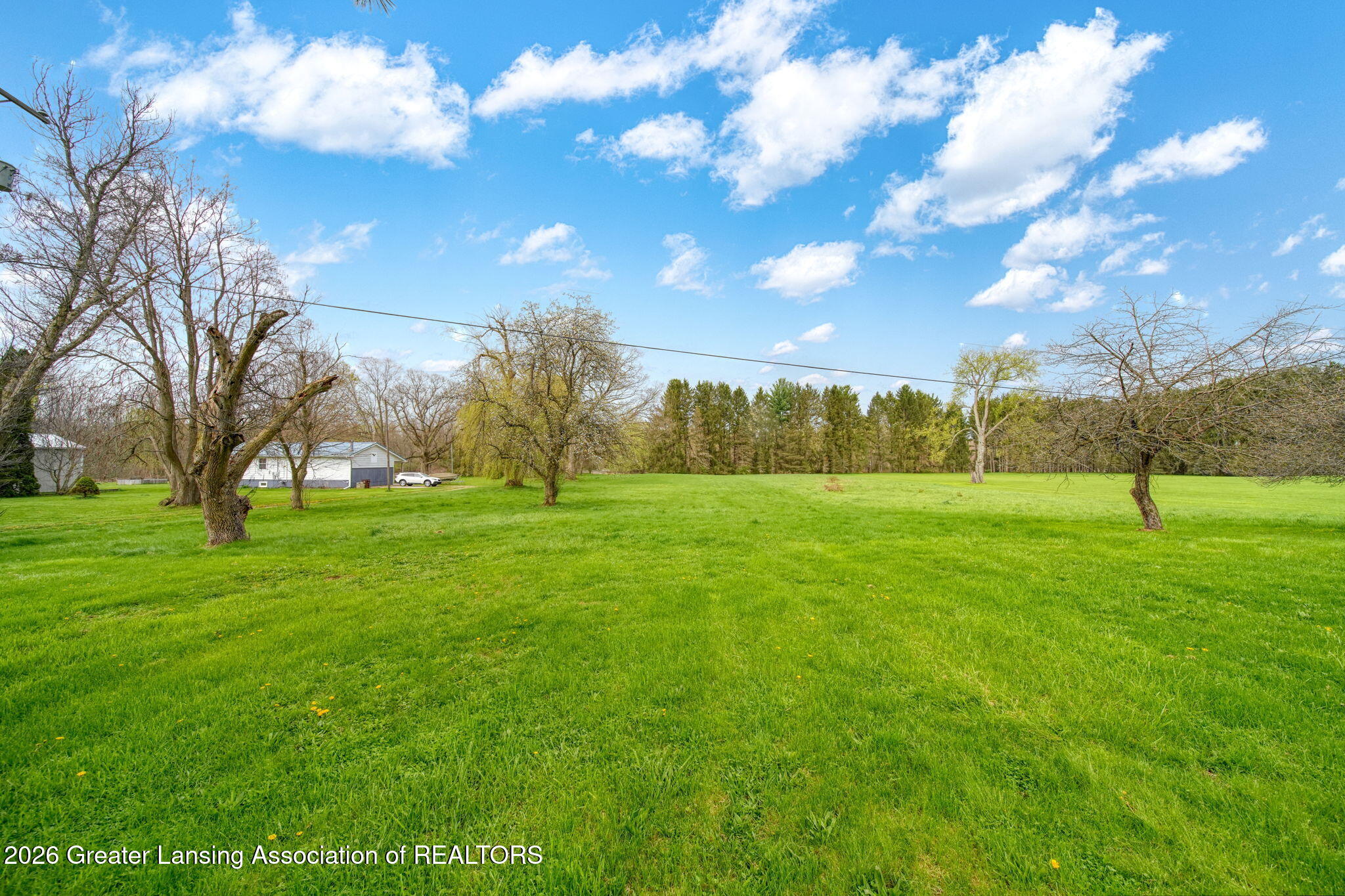 8379 Hall Road Bellevue, MI 49021 - Photo 52 of 68 52-web-or-mls-DSC08606_HDR