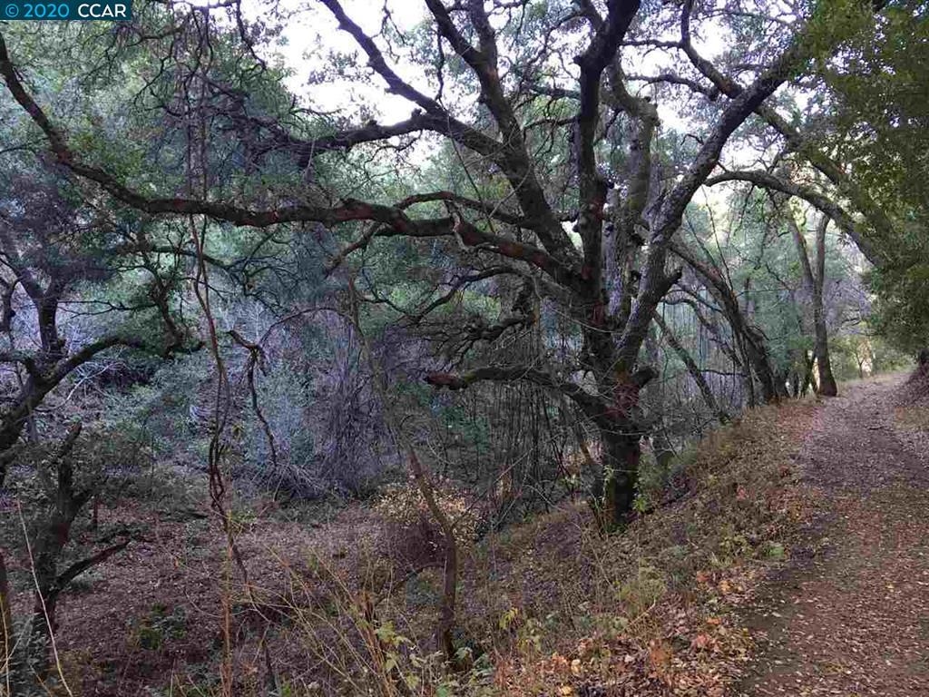 Lark Lane San Ramon, CA 94583 - Photo 2 of 4 a view of a yard