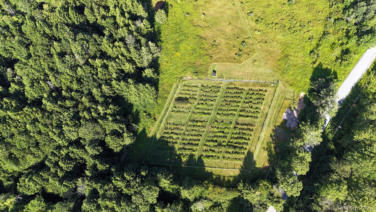 43 Schuman Road Damascus, PA 18415 - Photo 30 of 38 Aerial view of fenced-in blueberry farm