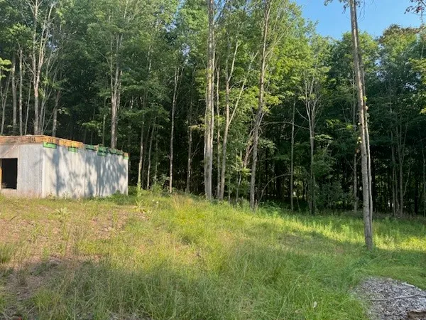 $129,000 | 16.1-16.2 Scutt Mountain Road, Bloomville, NY 13739