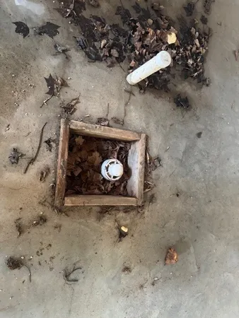 $129,000 | 16.1-16.2 Scutt Mountain Road, Bloomville, NY 13739